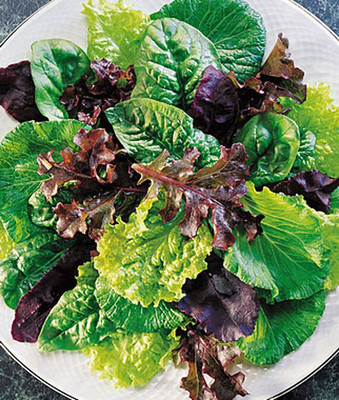 VibeX Mesclun Seed(120 per packet)