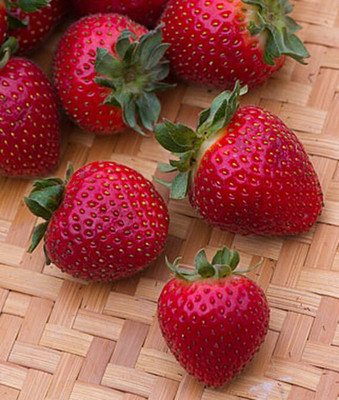 VibeX Strawberry Seed(60 per packet)