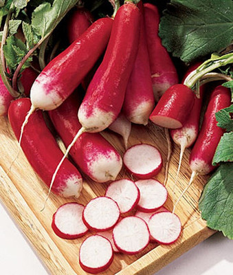 VibeX French Dressing Radish Seed(120 per packet)