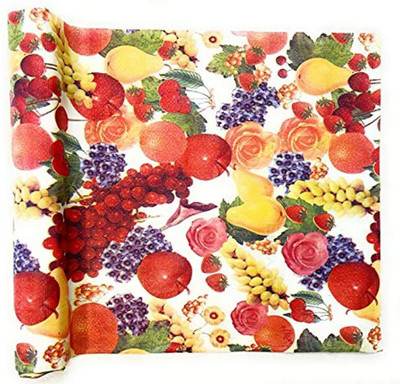 Casanest Plastic Drawer Mat(Multicolor, Large)