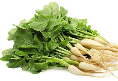VibeX Radish Palak Patte Wali Seed(1 per packet)