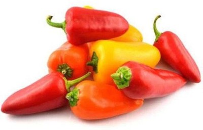 Biosnyg Sweet Pepper F1 Hungarian WX - 10 - Vegetable Seeds-[5gm Seeds] Seed(5 g)