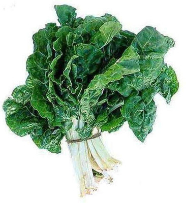 VibeX Spinach Kantewali Seed(1 per packet)