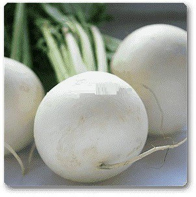 VibeX Radish White Round Seed(200 per packet)