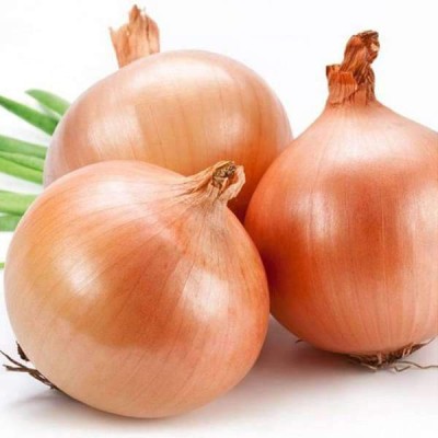 VibeX Onion Gawran - Desi Vegetable Seeds Seed(5 per packet)