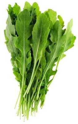 Biosnyg Rocket Arugula Wild Cut - Herb Seeds-[100 Seeds] Seed(100 per packet)