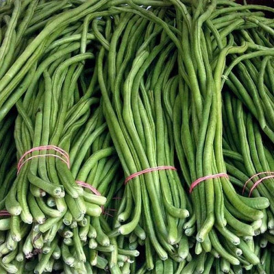 VibeX Lobia Beans Seed(100 per packet)