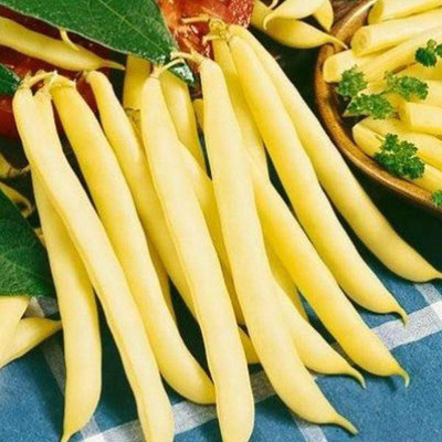 VibeX Beans Yellow Dwarf Bergold Seed(1 per packet)