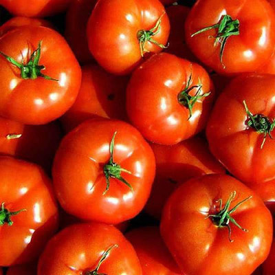 VibeX Tomato Seed(1 per packet)