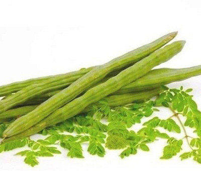 VibeX Moringa Oleiferale Seed(1 per packet)