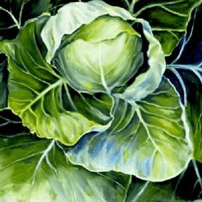VibeX Cabbage Seed(1 per packet)