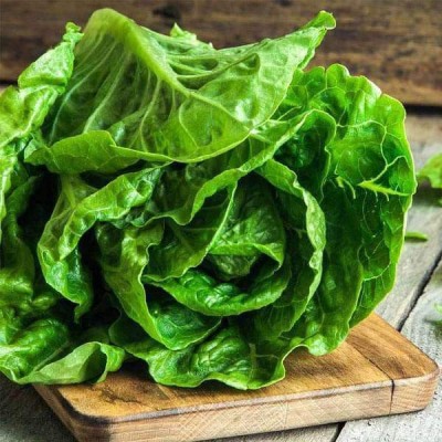 Biosnyg Lettuce Romaine Imported - Vegetable Seeds-[5gm Seeds] Seed(5 g)