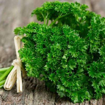 VibeX Parsley Seed(200 per packet)