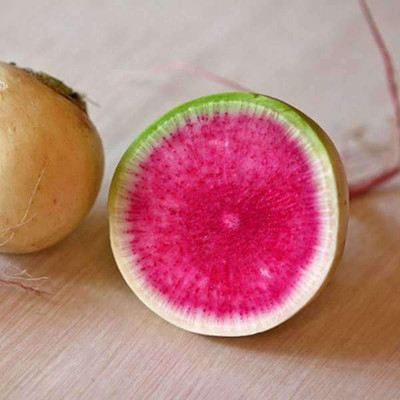 VibeX Radish Green Seed(1 per packet)