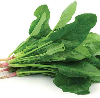 VibeX Spinach Seed(1 per packet)