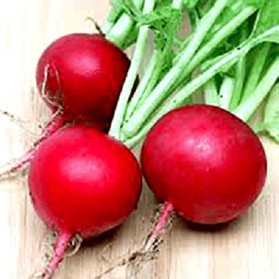 Biosnyg Radish Cherry Belle - Vegetable Seeds-[100 Seeds] Seed(100 per packet)