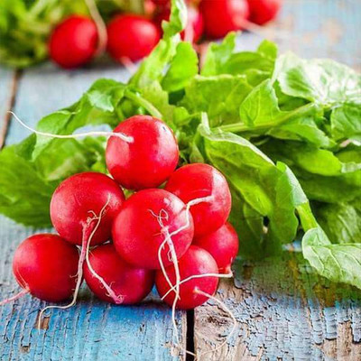 VibeX Radish Seed(100 per packet)