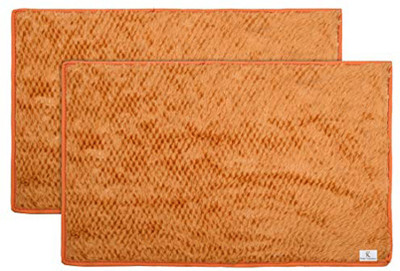 KUBER INDUSTRIES Microfiber Door Mat(Gold, Medium, Pack of 2)