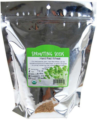 VibeX Wheatgrass Seed(500 per packet)