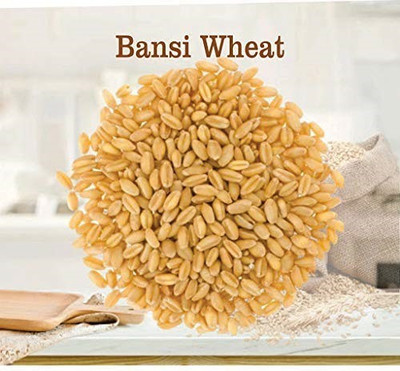 VibeX wheat grass Seed(2000 per packet)