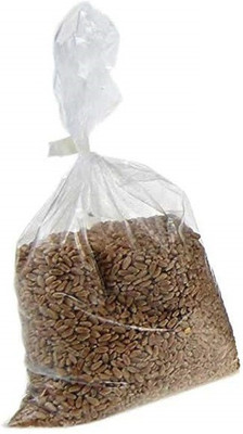 VibeX F1 Hybrid Hard Red Wheat Sprouting Seed Seed(2500 per packet)