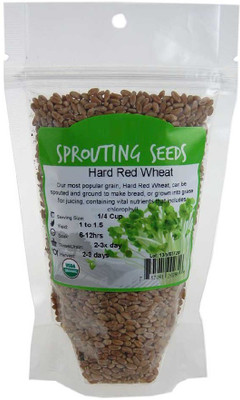 Biosnyg Sprouting Grain & Wheatgrass Seeds 500 Seeds Seed(500 per packet)
