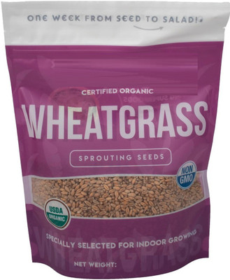 VibeX Wheatgrass Seed(250 per packet)
