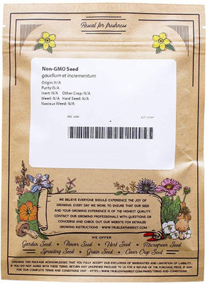 VibeX Wheatgrass Seed(1000 per packet)