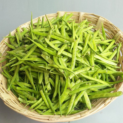 LYRS Cluster Beans Seed(10 per packet)