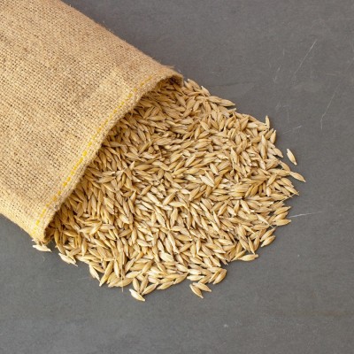 VibeX Wheat Seed(250 per packet)