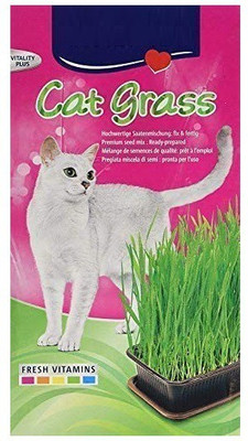 VibeX wheat grass Seed(2000 per packet)
