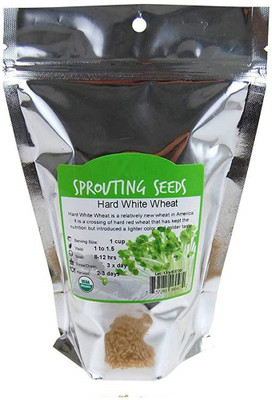 VibeX Wheatgrass Seeds Seed(5000 per packet)
