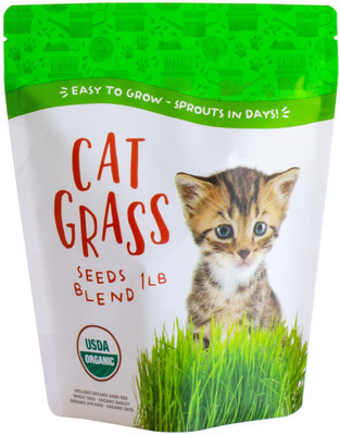 VibeX Wheatgrass Seed(2500 per packet)