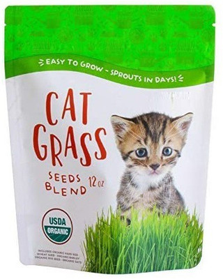 VibeX Wheatgrass Seed(2500 per packet)