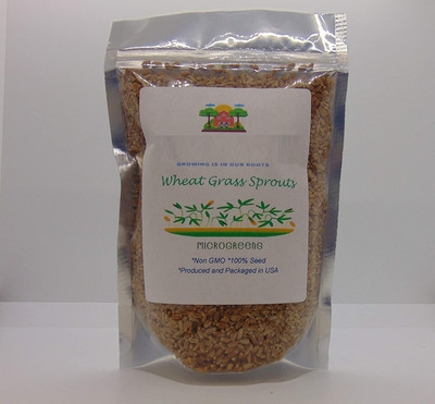 VibeX Wheat Grass Seeds Seed(5000 per packet)