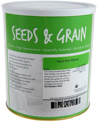 VibeX Wheatgrass Seed(1000 per packet)