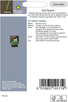 VibeX Wheatgrass Seed(2500 per packet)