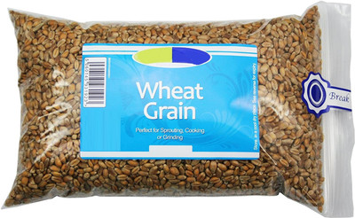 VibeX Seed Kit Wheatgrass for Pet Seed(1000 per packet)