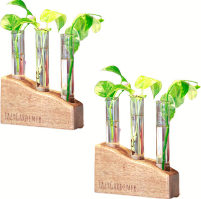 lazy gardener Timber Grove Trio (Table Top, Pack of 2) Plant Container Set(Pack of 2, Wood)
