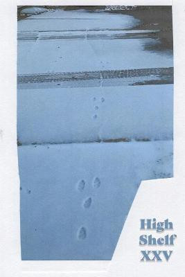 High Shelf XXV(English, Paperback, High Shelf Press)