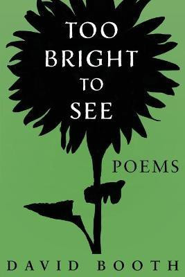 Too Bright to See(English, Paperback, Booth David)