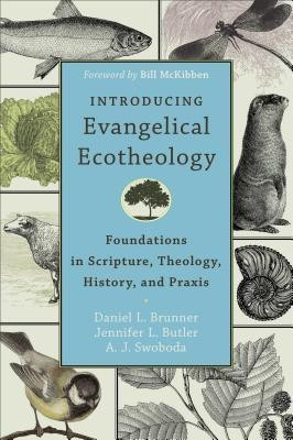 Introducing Evangelical Ecotheology - Foundations in Scripture, Theology, History, and Praxis(English, Paperback, Brunner Daniel L.)