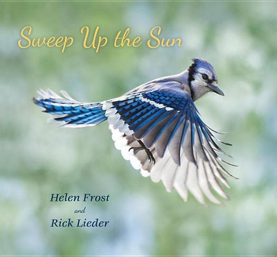 Sweep Up the Sun(English, Hardcover, Frost Helen)