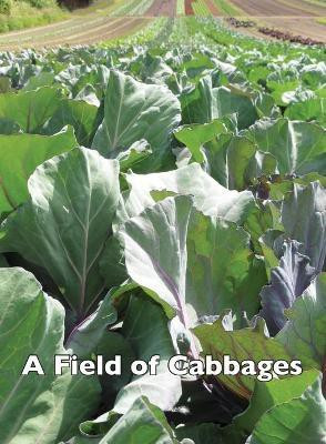 A Field of Cabbages(English, Paperback, Frost Allen)