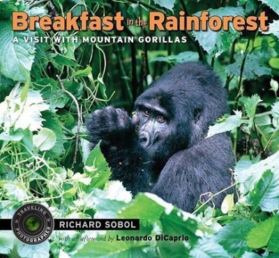 Breakfast in the Rainforest(English, Paperback, Sobol Richard)