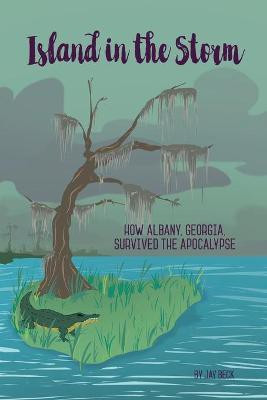 Island in the Storm(English, Paperback, Beck Jay)