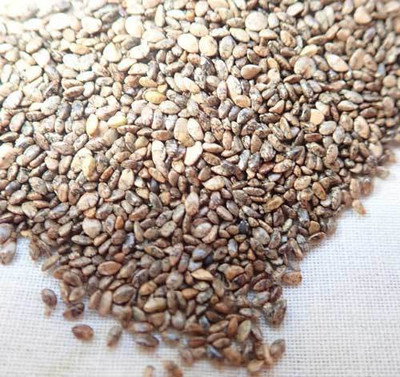 V Seed Salvia Seed(15 per packet)