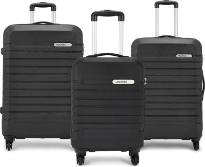 Magnum ACME 53/63/73 4W BLACK Check-in Luggage - 30 inch