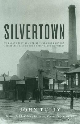 Silvertown(English, Hardcover, Tully John)