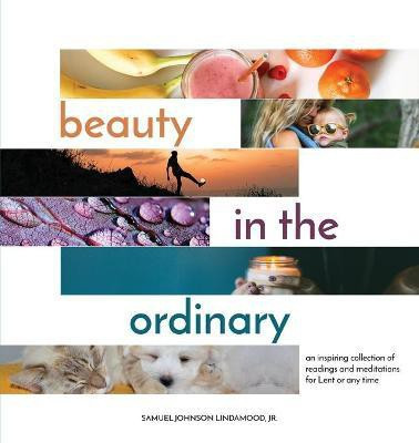 Beauty in the Ordinary(English, Paperback, Lindamood Samuel Johnson)